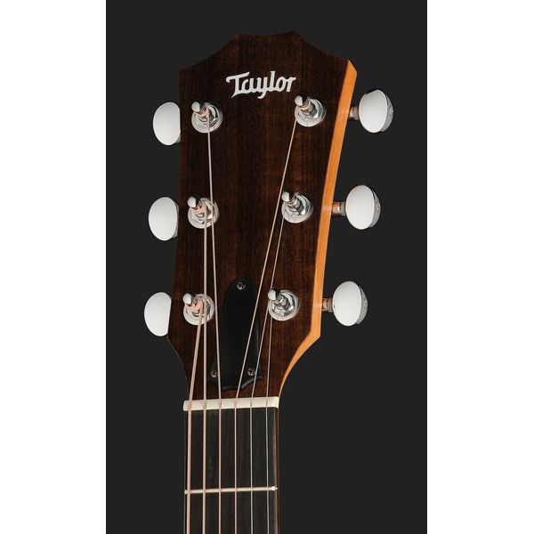 Taylor 14ce