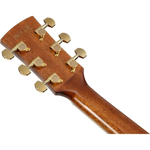 Ibanez AW391RCE-BKH
