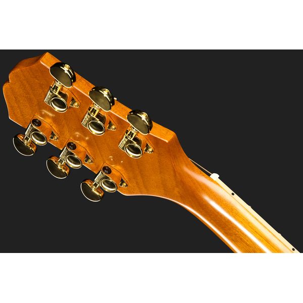 Epiphone Hummingbird Standard EC N