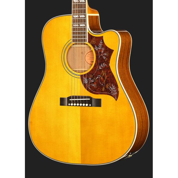 Epiphone Hummingbird Standard EC N