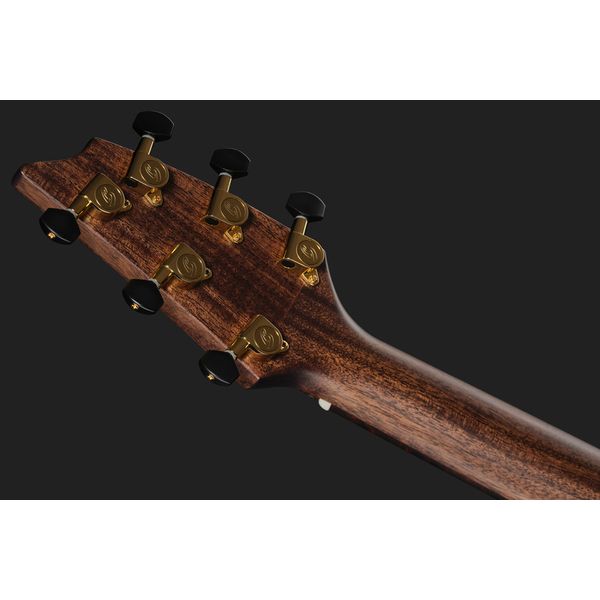 Breedlove Performer Pro ConcThin Rswd CE