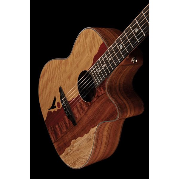 Luna Guitars Vista Eagle