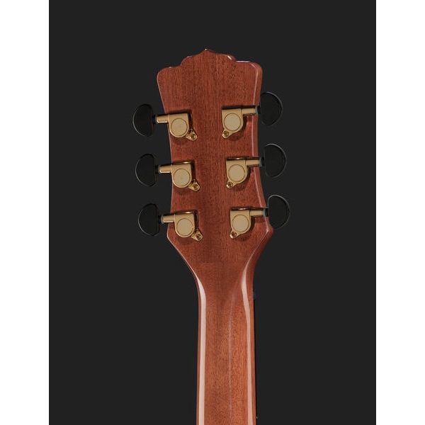 Luna Guitars Vista Eagle
